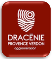 Dracénie