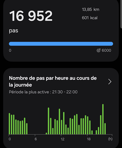 Nombre de pas de Flavien